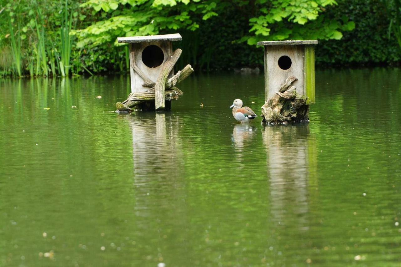 Gaestewohnung Hardinghaus Am Teich Warendorf Extérieur photo